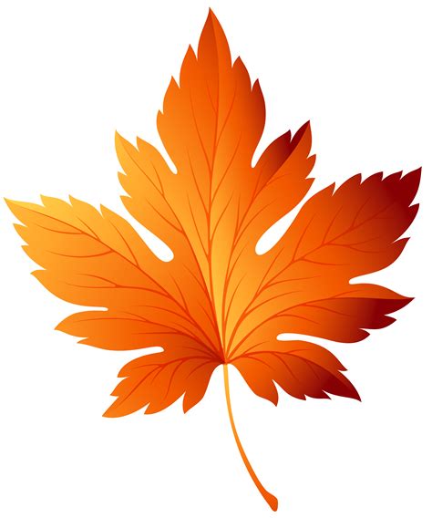 autumn leaf clip art